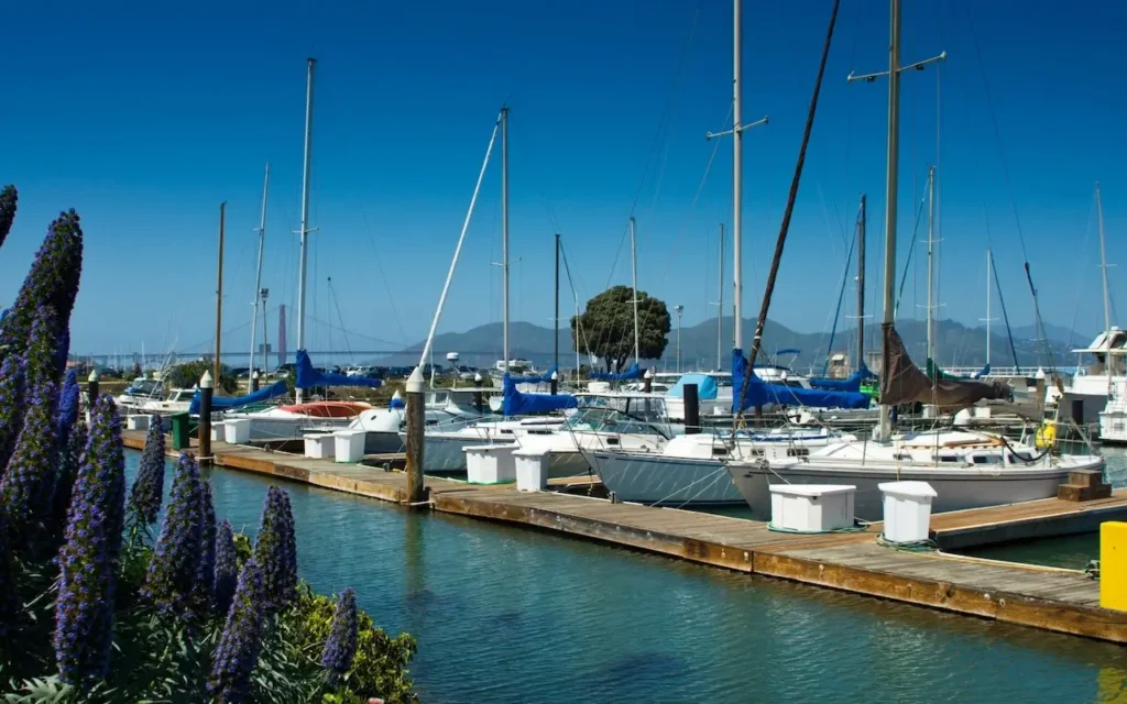High Speed Internet for Marinas and Piers From Etheric Networks