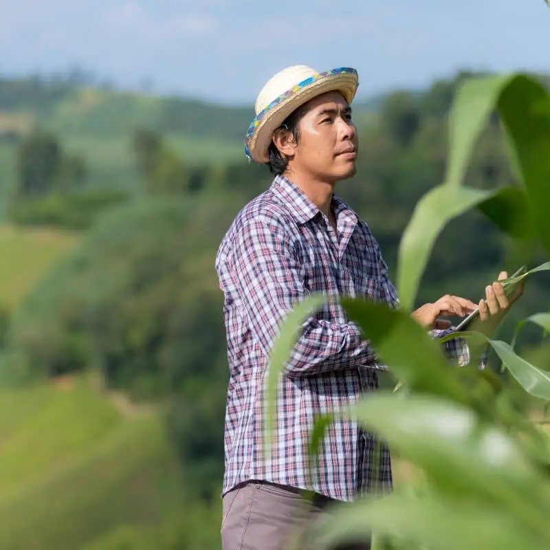 Advanced-Network-Technology-Built-for-Agriculture-Businesses Bay Area